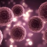 eleftheria_rosmaraki